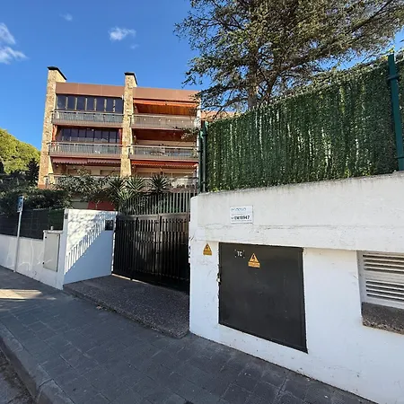 Agi Parramon A Roses